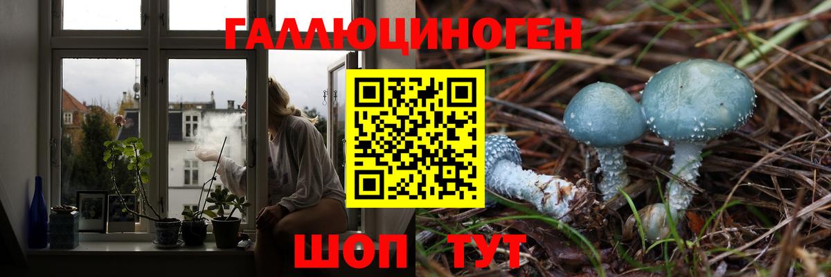 Псилоцибиновые грибы Psilocybe Ревда